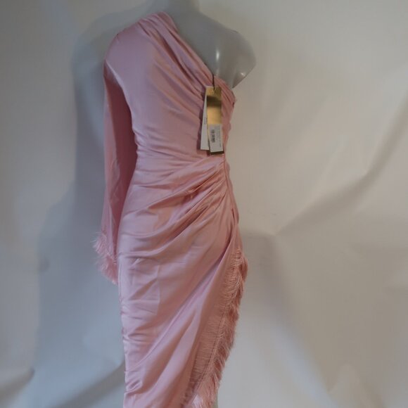NWT Womens PatBO Light Pink Fringe Trim One Shoulder Asymmetric Oscar Dress 6 - Picture 11 of 16